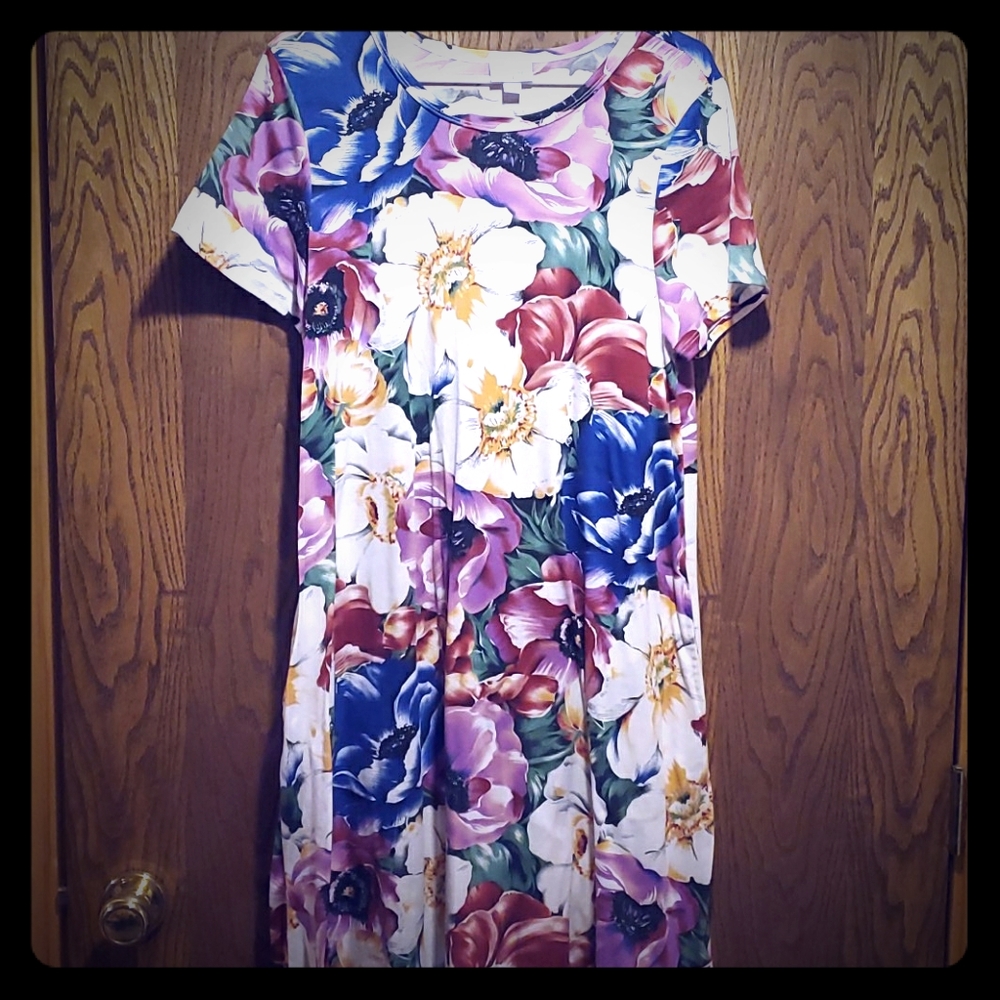 Lualroe Jessie dress
